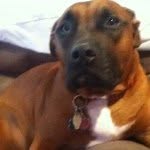 Profile Picture of Steph (@stephaniecona) on Instagram