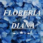 Profile Picture of BIENVENIDOS (@floreria_diana_celaya_gto) on Instagram