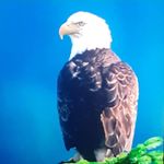 Profile Picture of Ramya Ramakrishna (@ramakrishnaramya) on Instagram