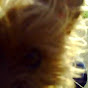 Profile Picture of adeeelle (@@adeeelle) on Tiktok