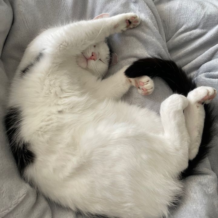 Profile Picture of David waters (@davidwaters55) on Tiktok