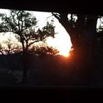 Profile Picture of joanna mcdaniel (@joanna_mcdaniel) on Instagram