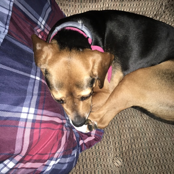 Jesse Karns - Poshmark Profile Picture of Jesse Karns (@jessekarns) on Poshmark