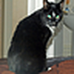 Profile Picture of Sam Shields (@sam shields) on Flickr