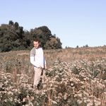 Brendan Busch - Instagram Profile Picture of Brendan Busch (@nobody_wuz_here) on Instagram