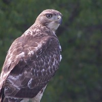 Profile Picture of Richard Marmo (@richard-marmo-1) on Quora