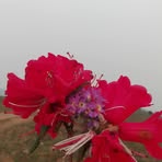 Profile Picture of Adam Falam (@adam.falam) on Facebook