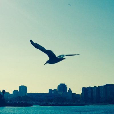 Profile Picture of Lorena Taylor Gibb (@kitticorntaylor) on Twitter