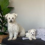 Profile Picture of cody.bailey.abby.vermaak (@cody.bailey.abby.vermaak) on Instagram