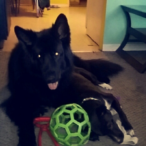 Profile Picture of Morgan Wilczak (@mwilczak) on Poshmark