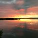 Profile Picture of Tony Clouse (@clouse0149) on Pinterest