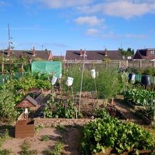 Profile Picture of Hellesdon Allotment Holder's Association (@Mark77392221) on Twitter