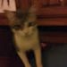 Profile Picture of Lisa Dunaway (@roelisa73) on Pinterest