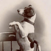 Profile Picture of Steven Keller (@stevenkeller8042) on Youtube