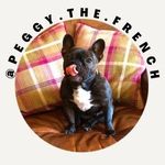 Profile Picture of Peggy Belle Carpenter (@peggy.the.french) on Instagram