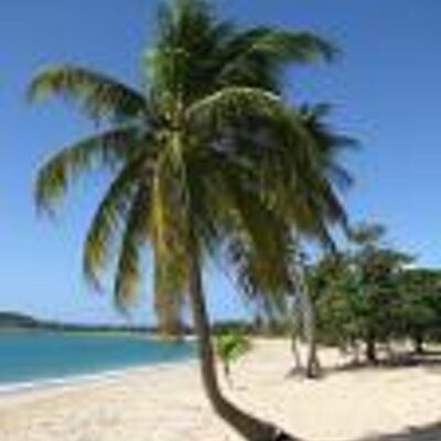 Profile Picture of Lisa Alamo (@LadieYvette) on Twitter