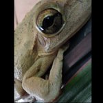 Profile Picture of Harold Leonhardt (@teeniegreedemon) on Instagram