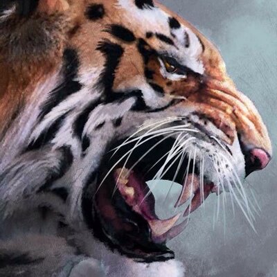 Profile Picture of Cody Fitzgerald (@cpf4005) on Twitter