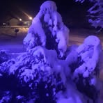 Profile Picture of Michael Calabrese (@Michael-Calabrese) on Facebook