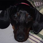 Profile Picture of Paul Tidwell (@paul.tidwell.77) on Instagram