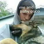 Profile Picture of Randall Stafford (@speedy3999) on Instagram