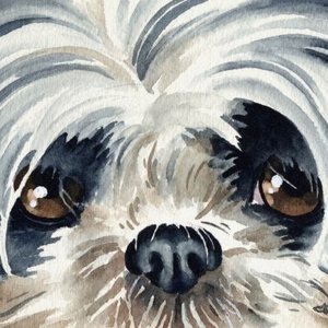 Profile Picture of Robin Normand (@robijill) on Myspace