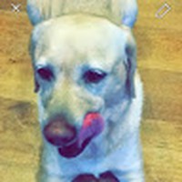Profile Picture of Lucy Bacon (@lucy-bacon-13) on Quora