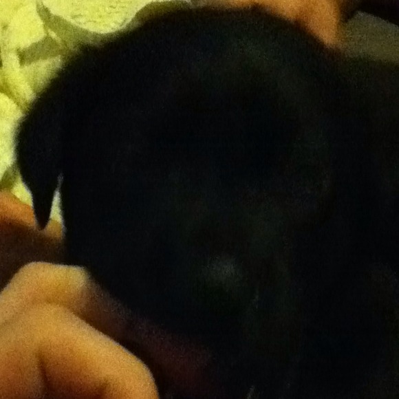 Erin Hawksworth - Poshmark Profile Picture of Erin Hawksworth (@hawkins20) on Poshmark