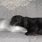 Profile Picture of Robert Morse (@FatManJamDeluxe) on Youtube