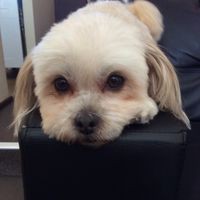 Profile Picture of Beth Guess (@beth-guess-8) on Quora