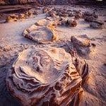 Profile Picture of Guy Levi (@guylevi089) on Instagram