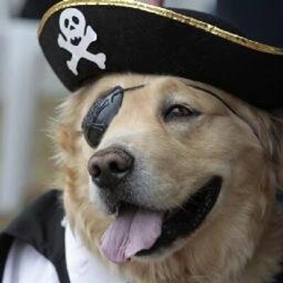 Profile Picture of Bob Goggins (@InstituteBob) on Twitter