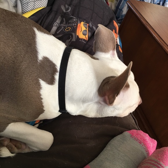 Profile Picture of Barbara Weaver (@barbaraw2017) on Poshmark