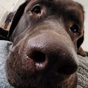 Profile Picture of Kyle Schadler (@kyleschadler314) on Youtube