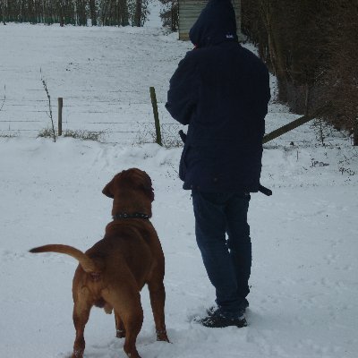 Profile Picture of Erwin Ohlenforst (@OhlenforstErwin) on Twitter