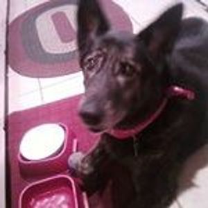 Profile Picture of Jodene Gorowski (@jodene.gorowski) on Myspace