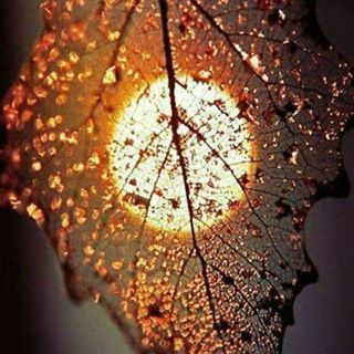 Profile Picture of Ghadeer Bataineh (@ghadeer.bataienh) on Facebook