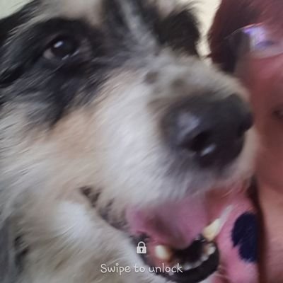 Profile Picture of Jo (@JoanneBoardman) on Twitter