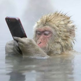 Profile Picture of Ivan Castillo (@iva5n) on Pinterest