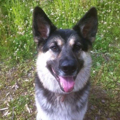 Profile Picture of Randy Deschamps (@RandyDeschamps) on Twitter