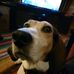 Profile Picture of Jeffrey Vollner (@jeffvollner) on Facebook