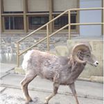 Profile Picture of Mark Spilker (@markle1607) on Instagram