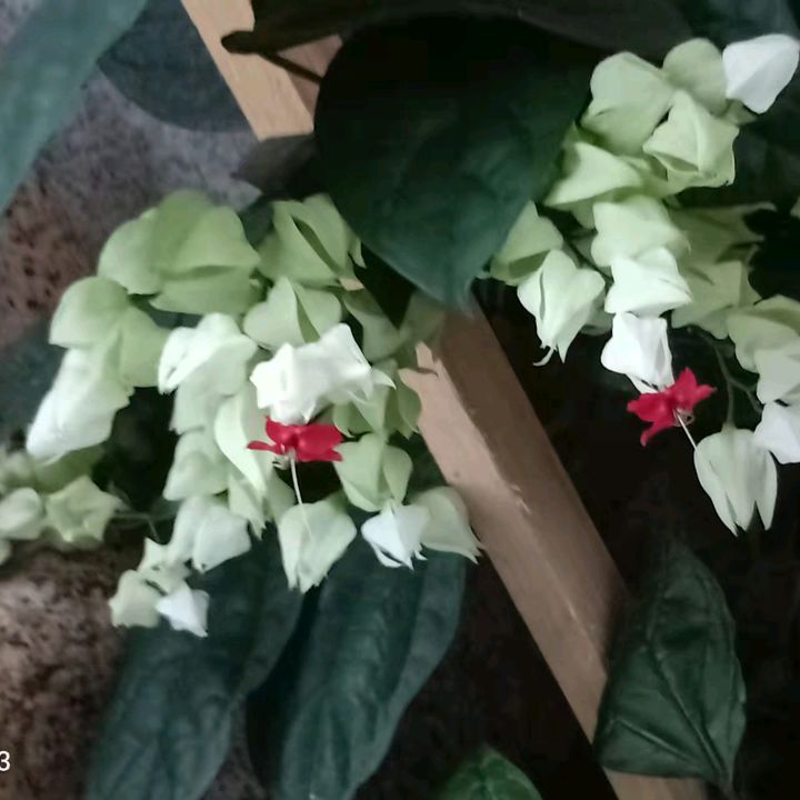 Profile Picture of tanzhang18 (@tanzhang18) on Tiktok