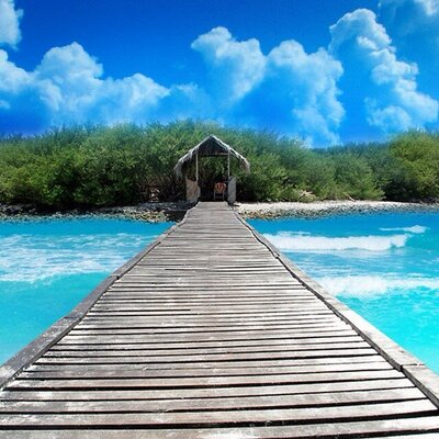 Profile Picture of Jesse Babauta (@ufcp4p) on Twitter