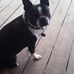 Profile Picture of Kent Finklea (@kent.finklea.9) on Facebook