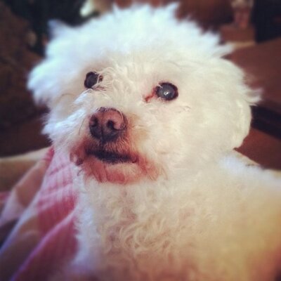 Profile Picture of Sammy Ratliff (@Sam_Lee_Ratliff) on Twitter