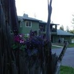 Profile Picture of Debbie Cromwell (@debbiecromwell) on Instagram