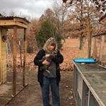 Profile Picture of Cindy Daggett (@daggettcindy) on Instagram