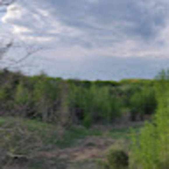 Profile Picture of Yong Zhang (@yong_zhang) on Poshmark