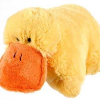 Profile Picture of Bert Haas (@bert.don.haas) on Facebook